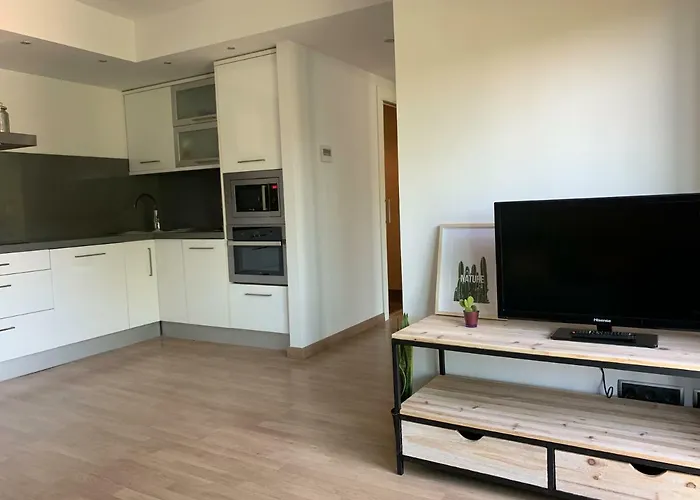 Apartamento Somos Ainsa